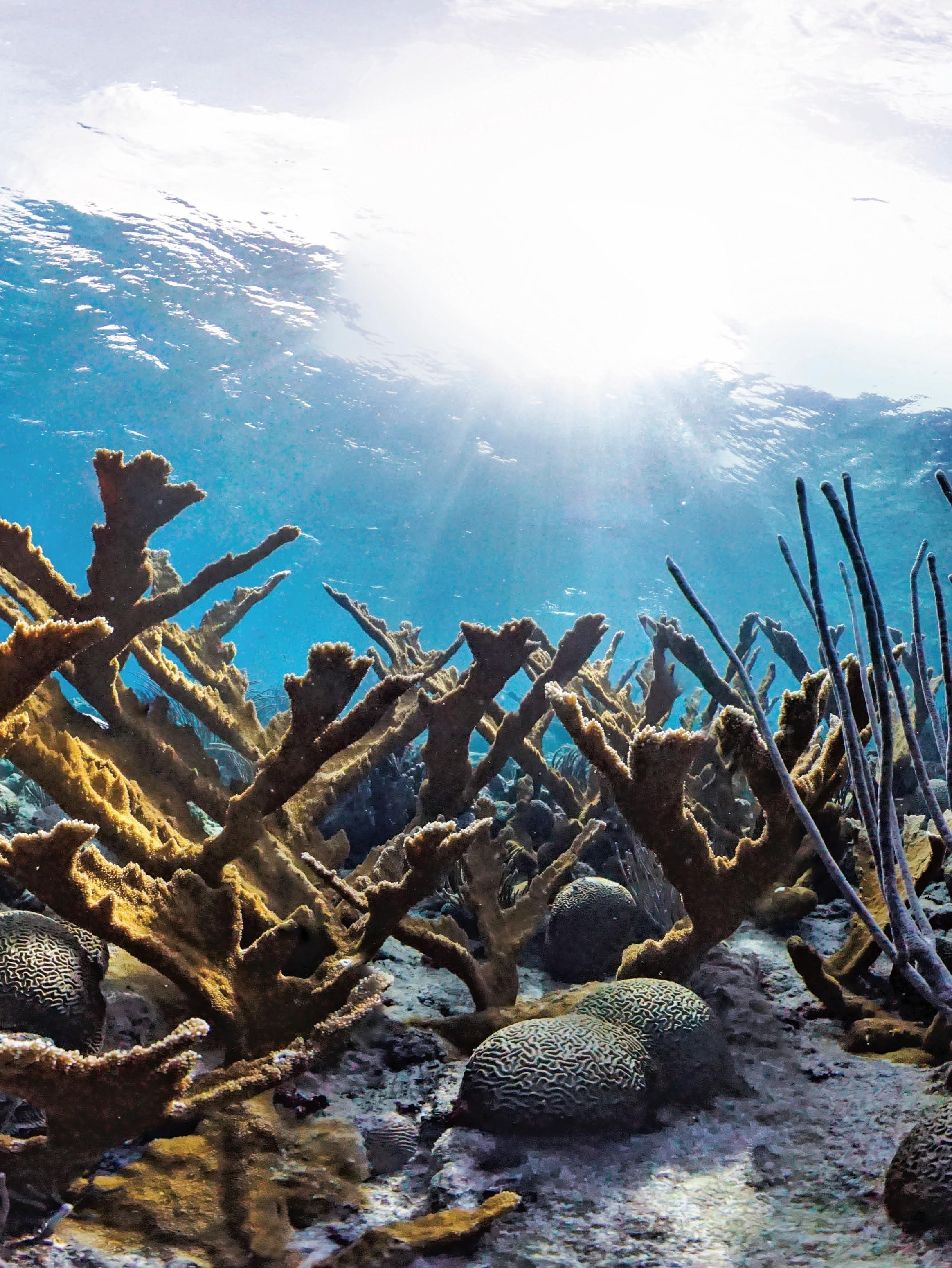 The Corporate Sustainability Review - CSR 2018 by The Corporate ...